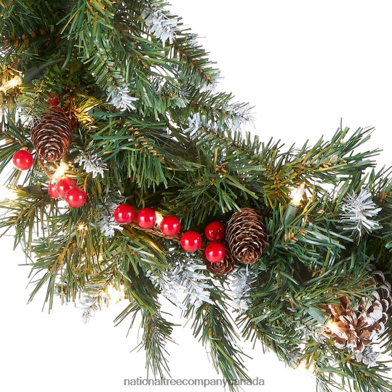 National Tree Company Pre-Lit Artificial Christmas Wreath Green Frosted Berry White Lights Decorated with Pine Cones Berry Clusters Frosted Branches Christmas Collection 24 Inches 68R08225