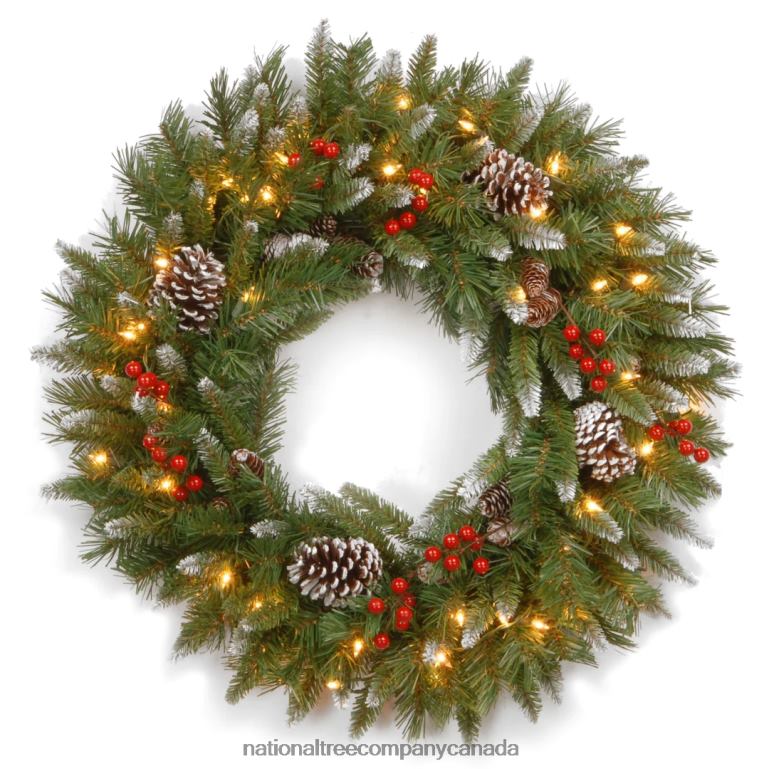 National Tree Company Pre-Lit Artificial Christmas Wreath Green Frosted Berry White Lights Decorated with Pine Cones Berry Clusters Frosted Branches Christmas Collection 30 Inches 68R08243