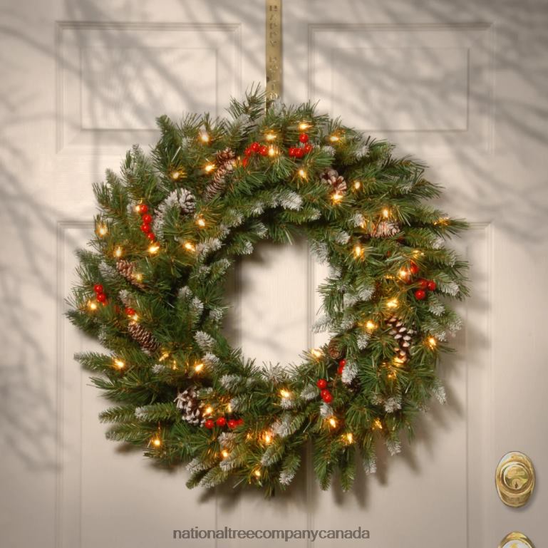 National Tree Company Pre-Lit Artificial Christmas Wreath Green Frosted Berry White Lights Decorated with Pine Cones Berry Clusters Frosted Branches Christmas Collection 30 Inches 68R08243
