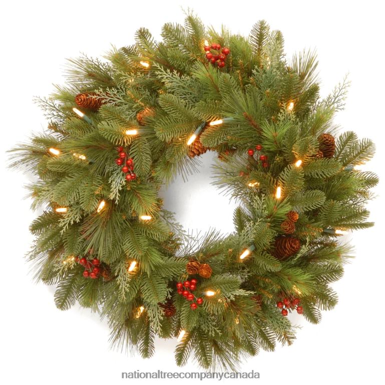 National Tree Company Pre-Lit Artificial Christmas Wreath Green Noelle White Lights Decorated with Pine Cones Berry Clusters Christmas Collection 24 Inches 68R08254