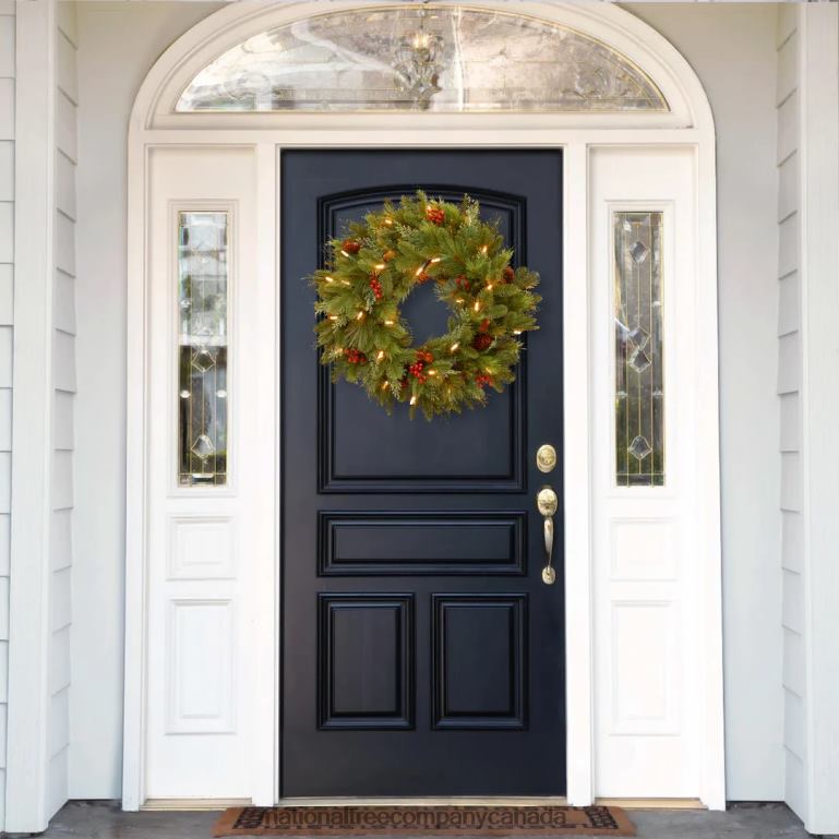 National Tree Company Pre-Lit Artificial Christmas Wreath Green Noelle White Lights Decorated with Pine Cones Berry Clusters Christmas Collection 24 Inches 68R08254