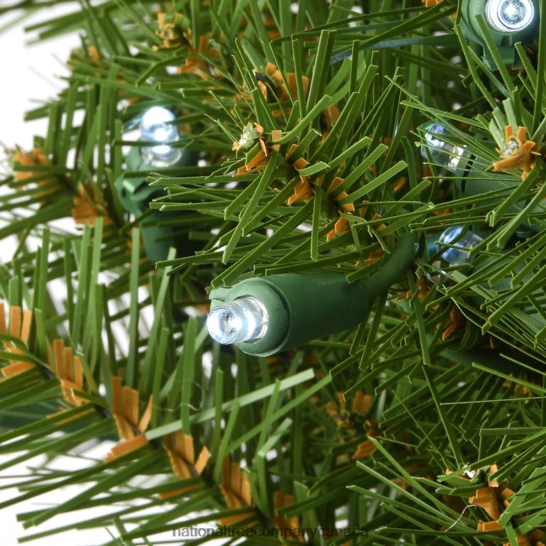 National Tree Company Pre-Lit Artificial Christmas Wreath Green Norwood Fir White Lights Christmas Collection 36 Inches 68R08312