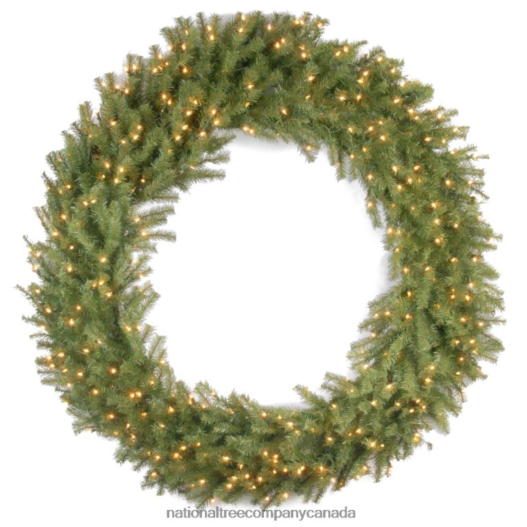 National Tree Company Pre-Lit Artificial Christmas Wreath Green Norwood Fir White Lights Christmas Collection 60 Inches 68R08229