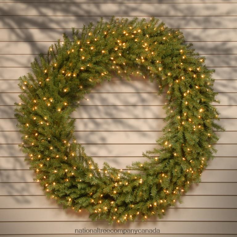 National Tree Company Pre-Lit Artificial Christmas Wreath Green Norwood Fir White Lights Christmas Collection 60 Inches 68R08229