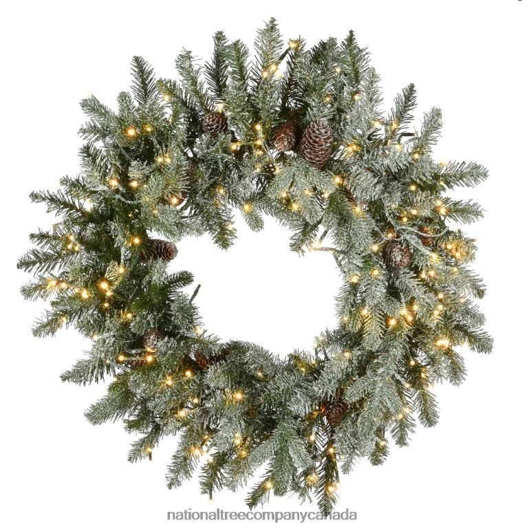 National Tree Company Pre-Lit Artificial Christmas Wreath Green Snowy Morgan Spruce Dual Color LED Lights Decorated with Pine Cones Christmas Collection 24 Inches 68R08282