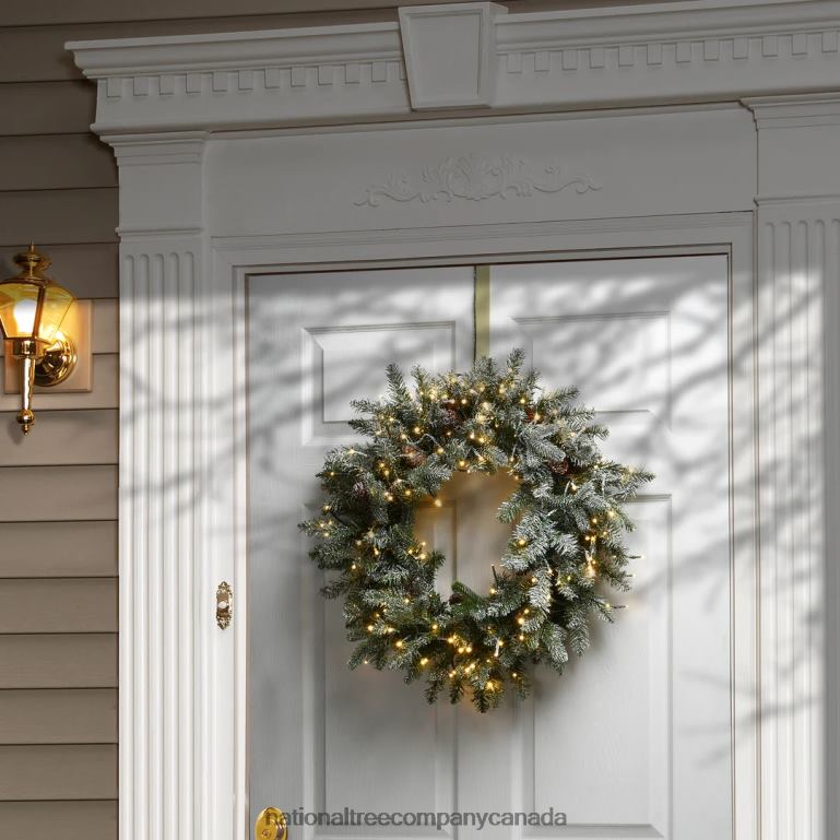 National Tree Company Pre-Lit Artificial Christmas Wreath Green Snowy Morgan Spruce Dual Color LED Lights Decorated with Pine Cones Christmas Collection 24 Inches 68R08282