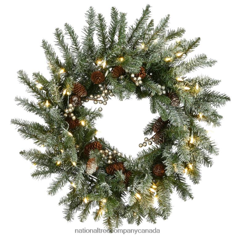 National Tree Company Pre-Lit Artificial Christmas Wreath Green Snowy Morgan Spruce White LED Lights Decorated with Pine Cones Christmas Collection 24 Inches 68R08311