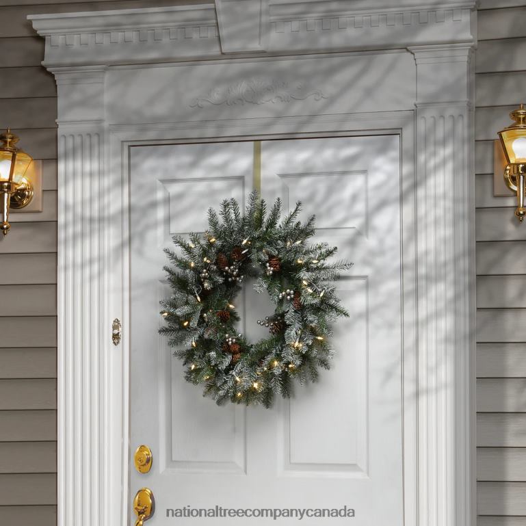 National Tree Company Pre-Lit Artificial Christmas Wreath Green Snowy Morgan Spruce White LED Lights Decorated with Pine Cones Christmas Collection 24 Inches 68R08311