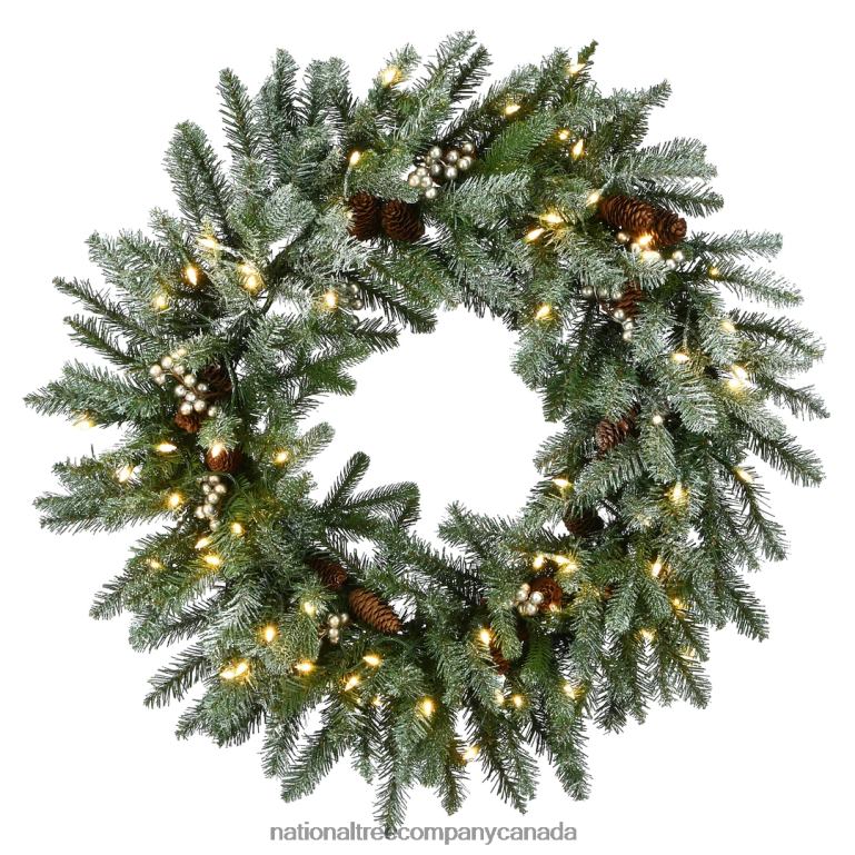 National Tree Company Pre-Lit Artificial Christmas Wreath Green Snowy Morgan Spruce White Lights Decorated with Pine Cones and Frosted Branches Christmas Collection 30 Inches 68R08296