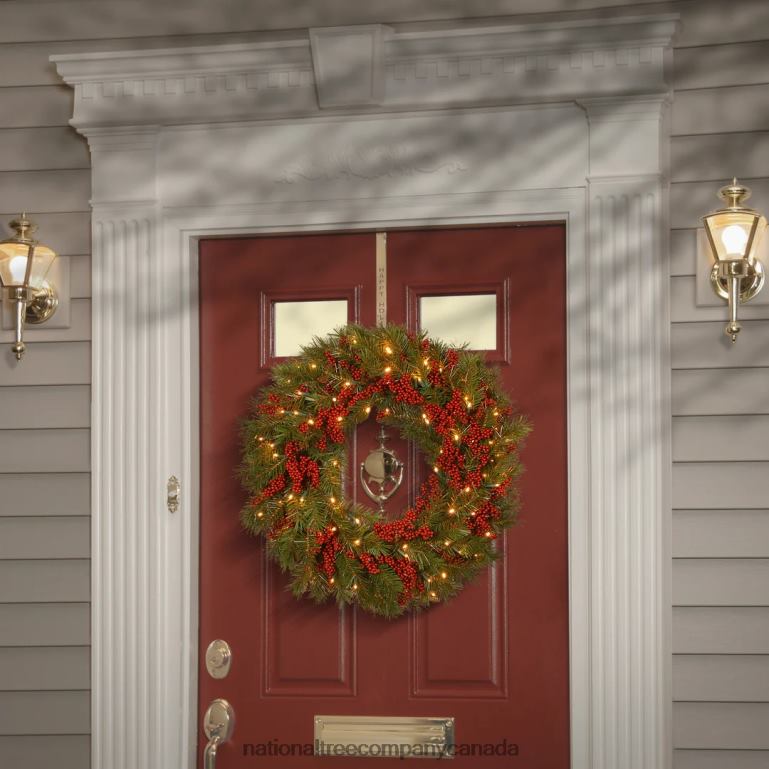 National Tree Company Pre-Lit Artificial Christmas Wreath Green Valley Pine White Lights Decorated with Berry Clusters Christmas Collection 24 Inches 68R08315