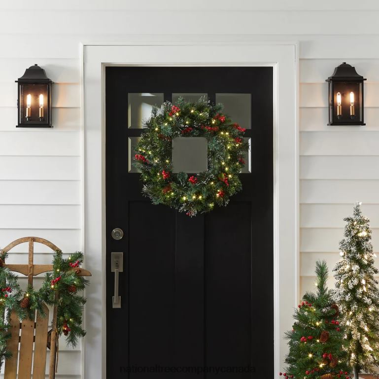 National Tree Company Pre-Lit Artificial Christmas Wreath Green Wintry Pine White Lights Decorated with Pine Cones Berry Clusters Frosted Branches Christmas Collection 24 Inches 68R08231