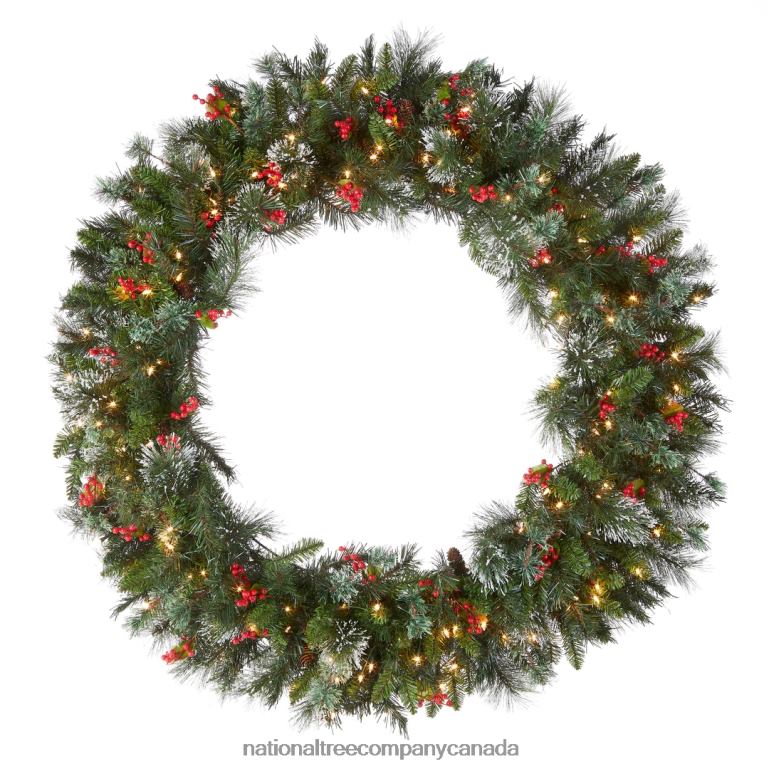 National Tree Company Pre-Lit Artificial Christmas Wreath Green Wintry Pine White Lights Decorated with Pine Cones Berry Clusters Frosted Branches Christmas Collection 48 Inches 68R08240