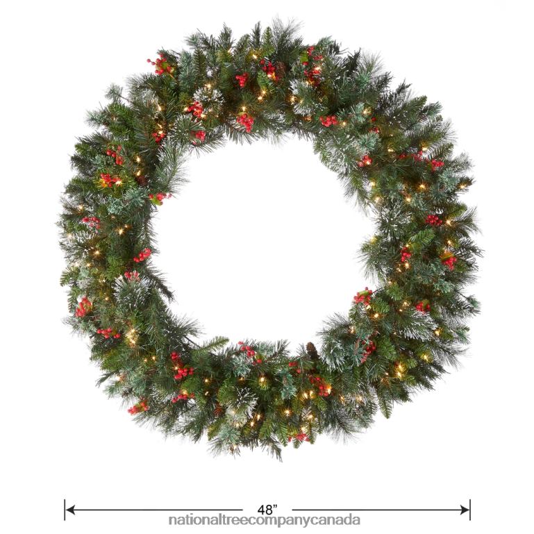 National Tree Company Pre-Lit Artificial Christmas Wreath Green Wintry Pine White Lights Decorated with Pine Cones Berry Clusters Frosted Branches Christmas Collection 48 Inches 68R08240