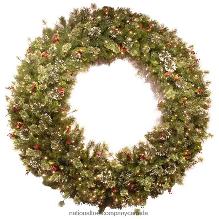 National Tree Company Pre-Lit Artificial Christmas Wreath Green Wintry Pine White Lights Plug-In Decorated with Pine Cones Berry Clusters Frosted Branches Christmas Collection 60 Inches 68R08