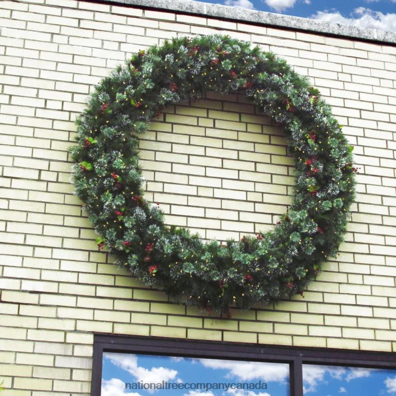 National Tree Company Pre-Lit Artificial Christmas Wreath Green Wintry Pine White Lights Plug-In Decorated with Pine Cones Berry Clusters Frosted Branches Christmas Collection 60 Inches 68R08