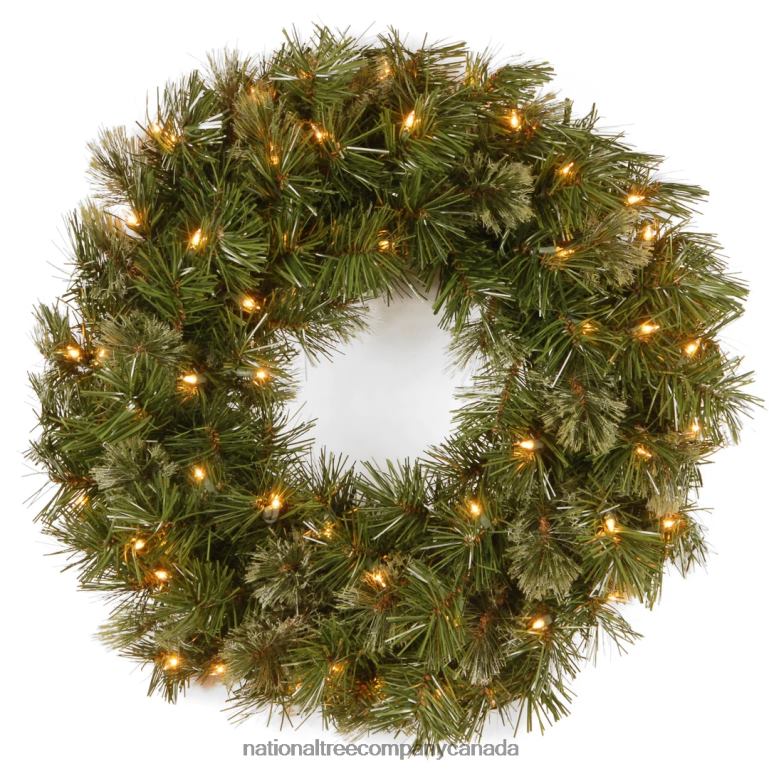 National Tree Company Pre-Lit Artificial Christmas Wreath Green Wispy Willow White Lights Christmas Collection 24 Inches 68R08251