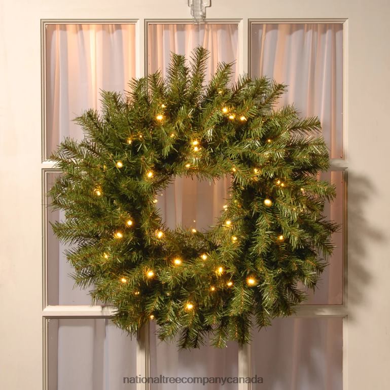 National Tree Company Pre-Lit Artificial Christmas Wreath Norwood Fir with Twinkly LED Lights Plug in 24 in 68R08289