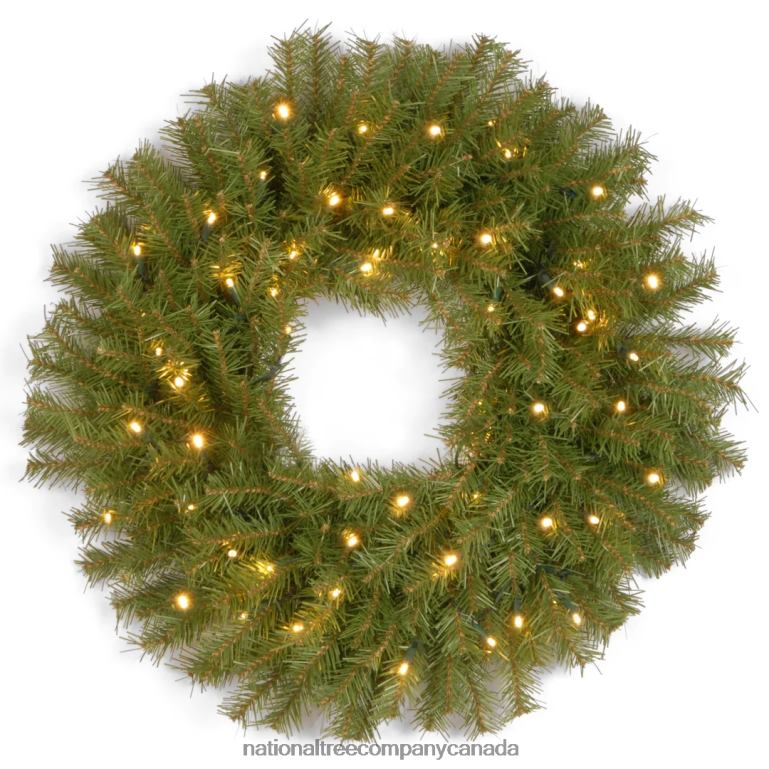 National Tree Company Pre-Lit Artificial Christmas Wreath Norwood Fir with Twinkly LED Lights Plug in 30 in 68R08288