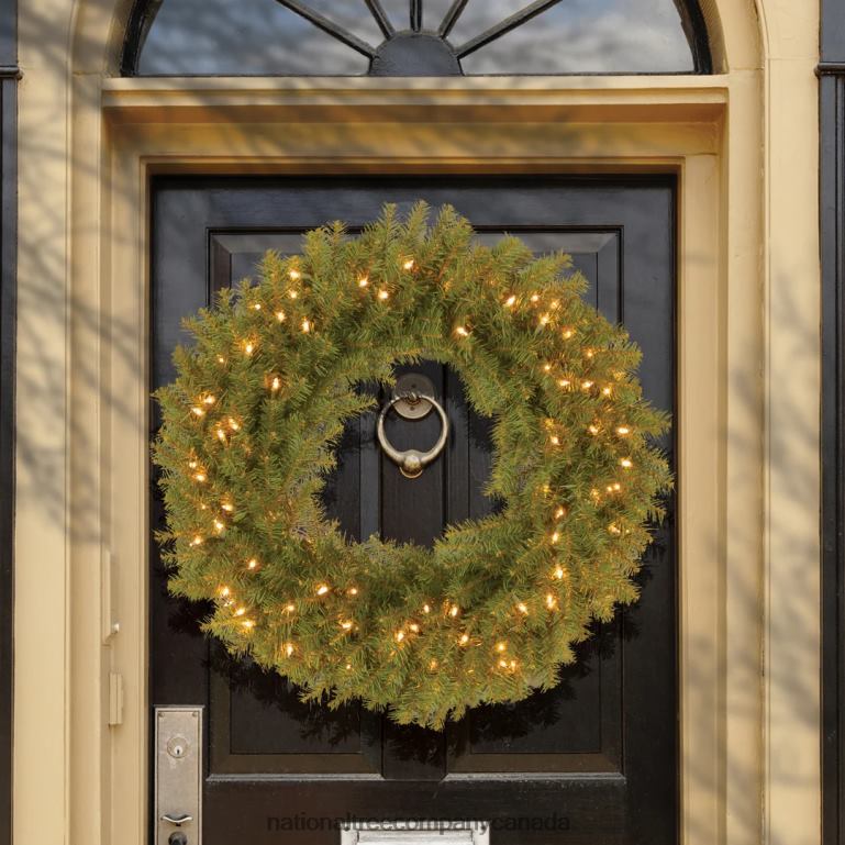 National Tree Company Pre-Lit Artificial Christmas Wreath Norwood Fir with Twinkly LED Lights Plug in 30 in 68R08288