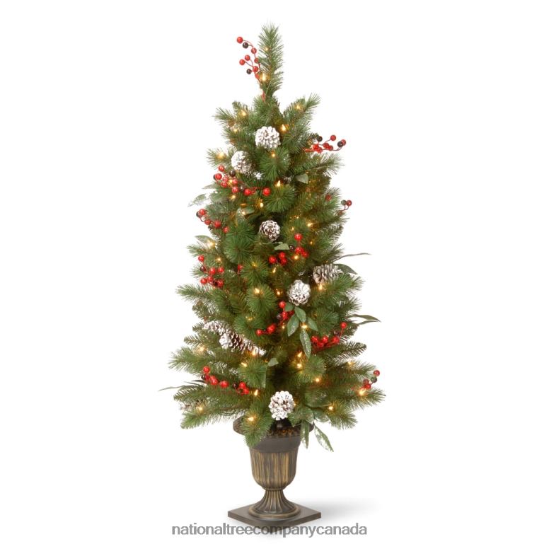 National Tree Company Pre-Lit Artificial Entrance Christmas Tree Frosted Berry Pine Green White Lights Decorated with Berry Clusters Pine Cones Includes Metal Base 4 Feet 68R08101