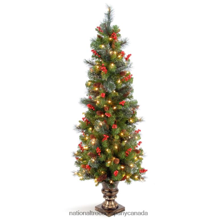 National Tree Company Pre-Lit Artificial Entrance Christmas Tree Green Crestwood Spruce White Lights Decorated with Pine Cones Berry Clusters Frosted Branches Includes Pot Base 5 Feet 68R08191
