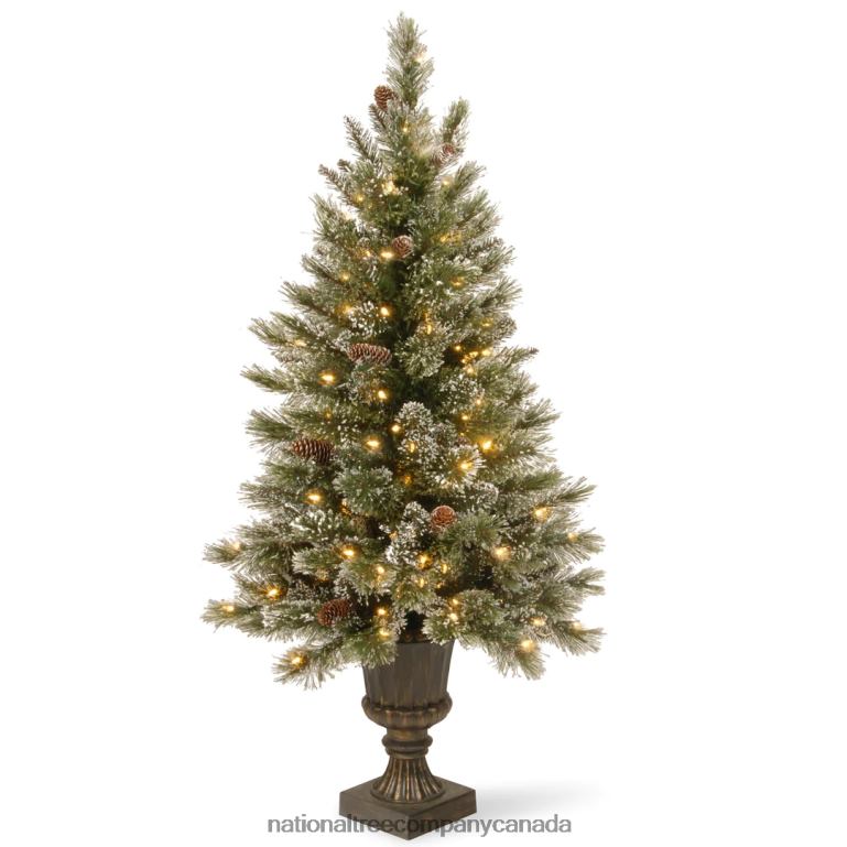 National Tree Company Pre-Lit Artificial Entrance Christmas Tree Green Glittery Bristle Pine White LED Lights Flocked with Pine Cones Frosted Branches Includes Decorative Urn Base 5 Feet 68R082