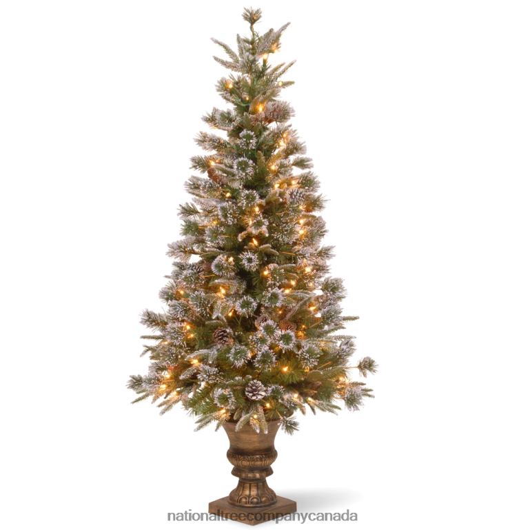 National Tree Company Pre-Lit Artificial Entrance Christmas Tree Liberty Pine Green White Lights Decorated with Pine Cones Includes Metal Base 4 Feet 68R08164