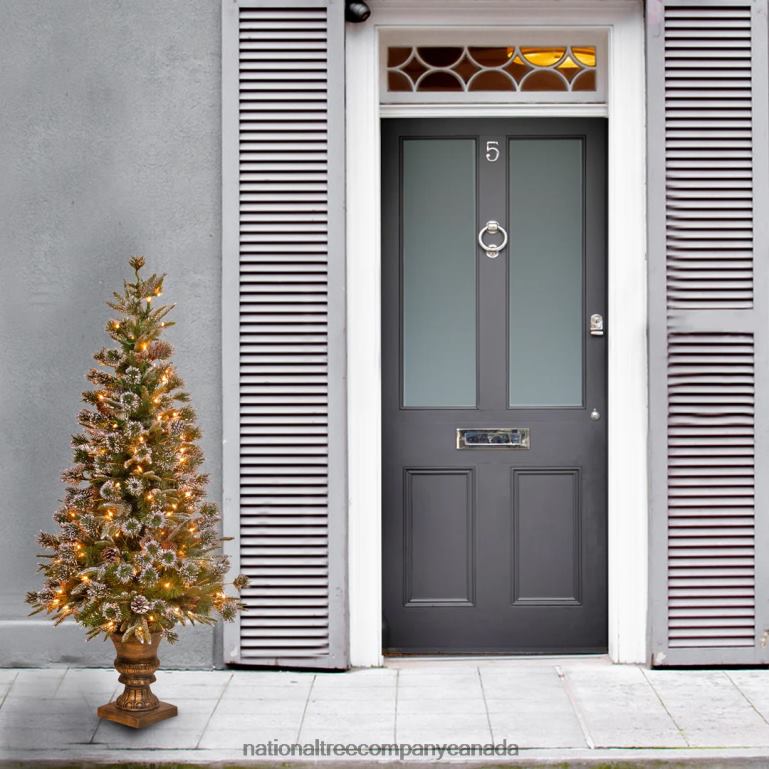 National Tree Company Pre-Lit Artificial Entrance Christmas Tree Liberty Pine Green White Lights Decorated with Pine Cones Includes Metal Base 4 Feet 68R08164