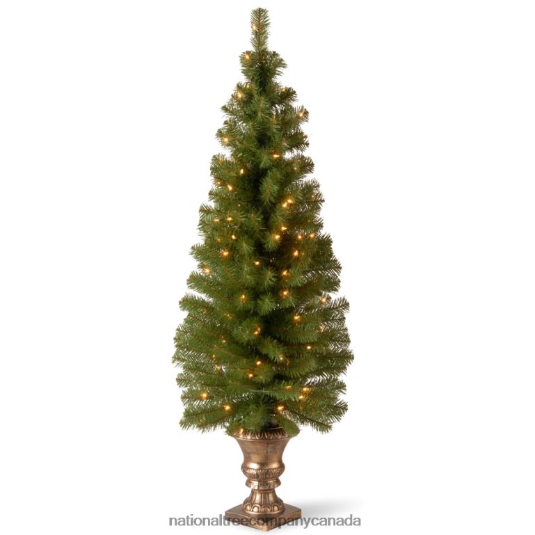 National Tree Company Pre-Lit Artificial Entrance Christmas Tree Montclair Spruce Green White Lights Includes Metal Base 5 Feet 68R0827