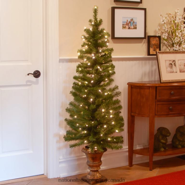 National Tree Company Pre-Lit Artificial Entrance Christmas Tree Montclair Spruce Green White Lights Includes Metal Base 5 Feet 68R0827