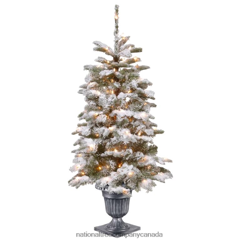 National Tree Company Pre-Lit Artificial Entrance Christmas Tree Snowy Camden Green White Lights Includes Metal Base 4 Feet 68R08149