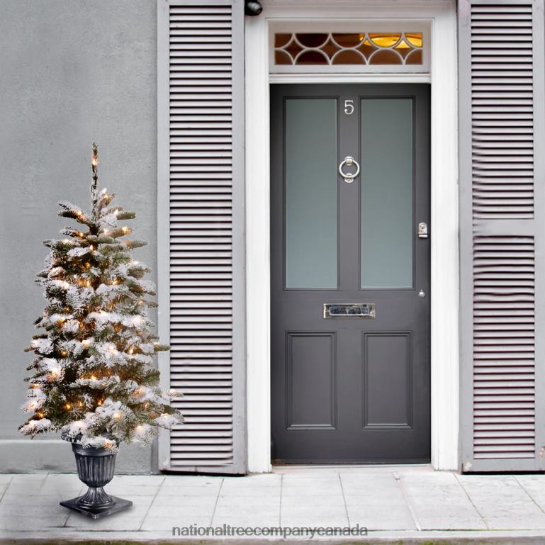 National Tree Company Pre-Lit Artificial Entrance Christmas Tree Snowy Camden Green White Lights Includes Metal Base 4 Feet 68R08149