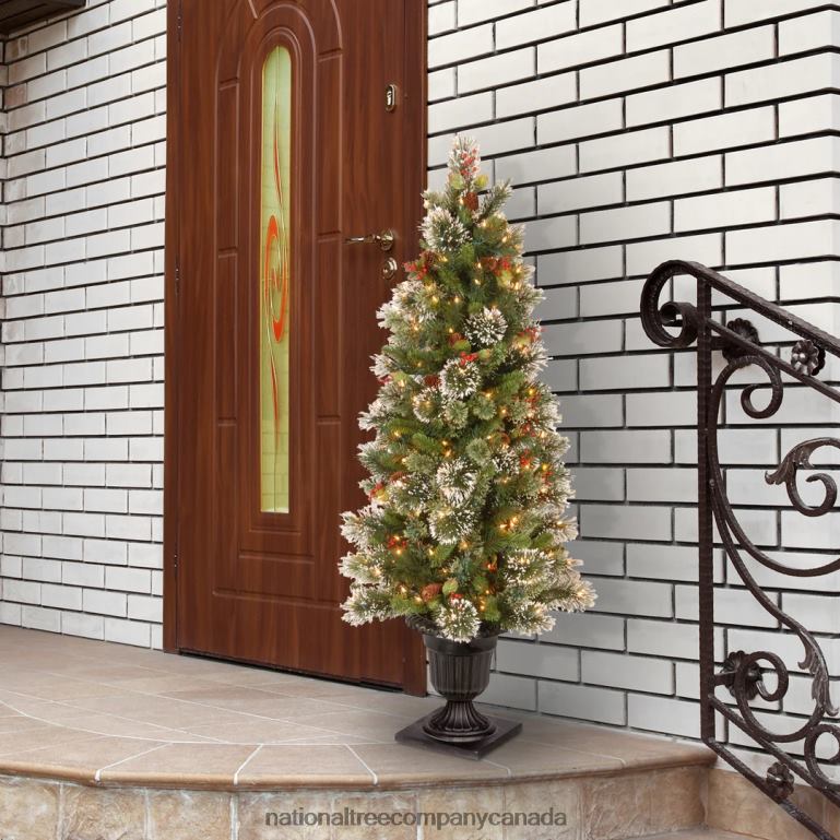 National Tree Company Pre-Lit Artificial Entrance Christmas Tree Wintry Pine Green White Lights Decorated with Berry Clusters Pine Cones Includes Metal Base 5 Feet 68R08175