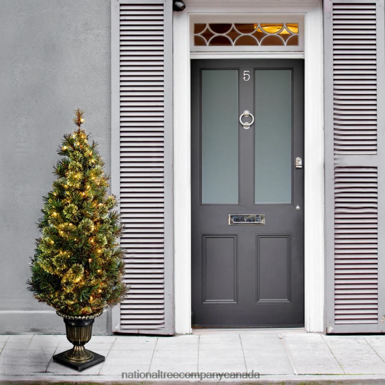 National Tree Company Pre-Lit Artificial Entrance Christmas Tree Wispy Willow Grande Green White Lights Includes Metal Base 5 Feet 68R08174