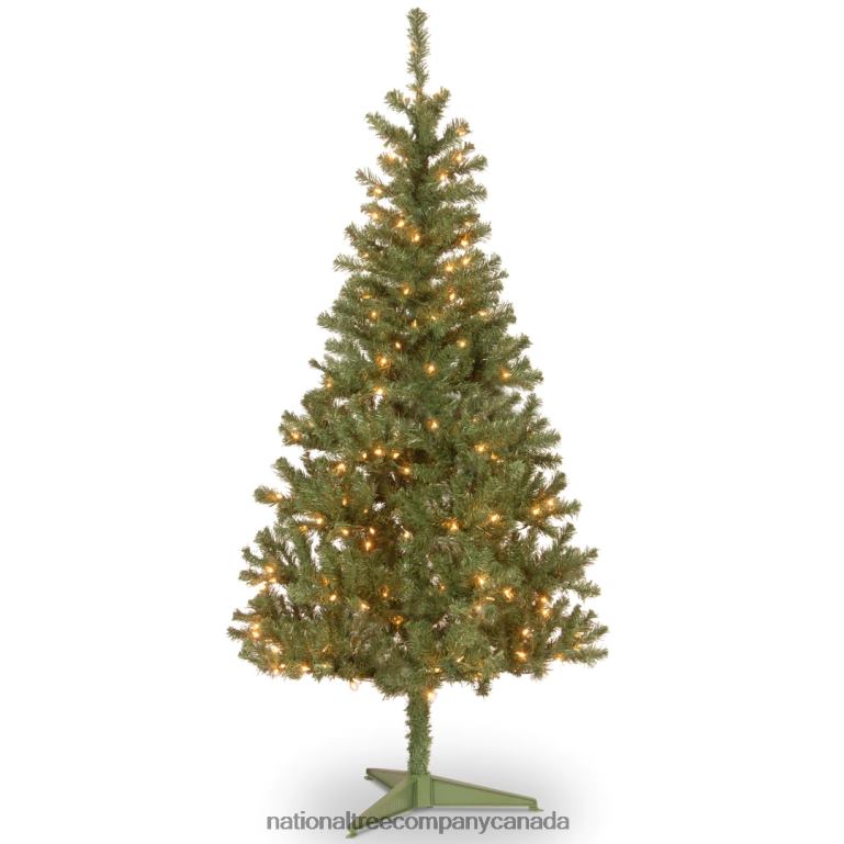 National Tree Company Pre-Lit Artificial Full Christmas Tree Green Canadian Fir Grande White Lights Includes Stand 6 Feet 68R08150