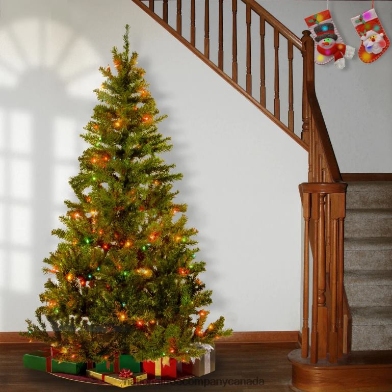 National Tree Company Pre-Lit Artificial Full Christmas Tree Green Canadian Fir Grande White Lights Includes Stand 6 Feet 68R08150