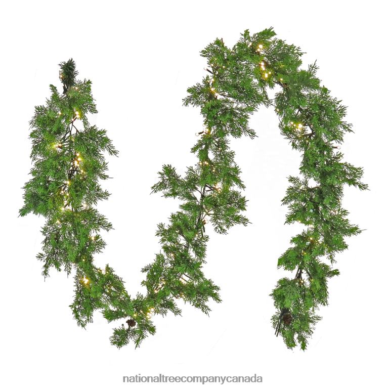 National Tree Company Pre Lit Artificial Garland Cedar Green Decorated with Warm White LED Lights Plug In Christmas Collection 9 Feet 68R08392