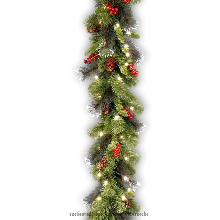 National Tree Company Pre Lit Artificial Garland Crestwood Spruce Green Decorated with Pine Cones Red Berry Clusters Multifunctional Twinkling LED Lights Plug In Christmas Collection 9 Feet 68