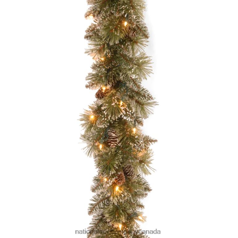 National Tree Company Pre Lit Artificial Garland Glittery Bristle Green Frosted Decorated with Frosted Pine Cones Multifunctional Twinkling LED Lights Plug In Christmas Collection 9 Feet 68R08