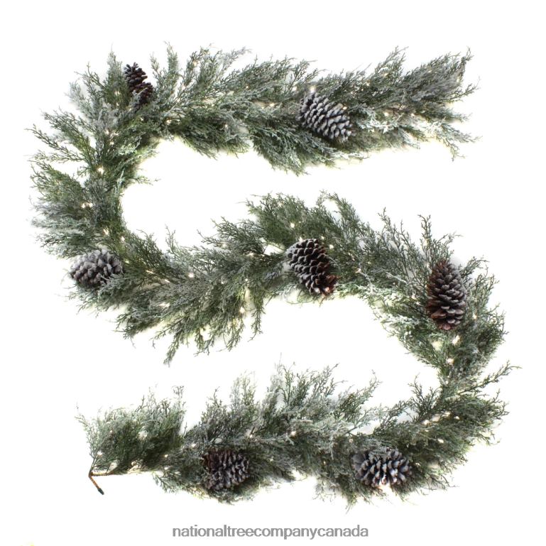 National Tree Company Pre Lit Artificial Garland Snowy Christmas Green Frosted Decorated with Frosted Pine Cones Pure White LED Lights Battery Powered Christmas Collection 9 Feet 68R08395