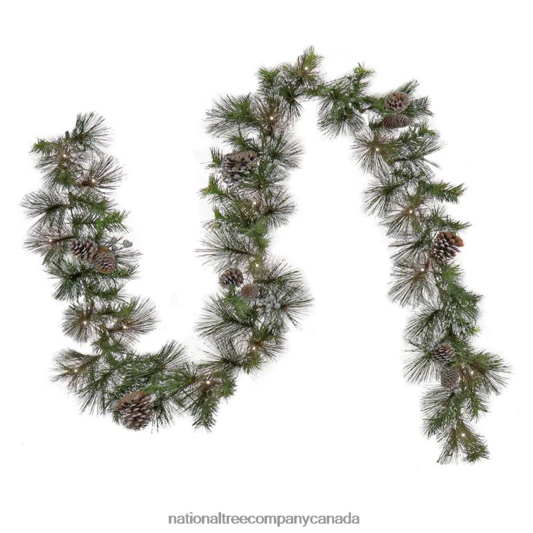 National Tree Company Pre Lit Artificial Garland Whitter Pine Green Decorated with Pine Cones Silver Berry Clusters Warm White LED Lights Battery Powered Christmas Collection 9 Feet 68R08429