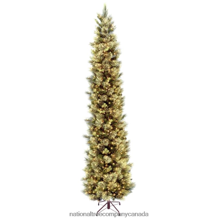 National Tree Company Pre-Lit Artificial Giant Slim Christmas Tree Green Carolina Pine White Lights Flocked with Pine Cones Includes Stand 12 feet 68R0843