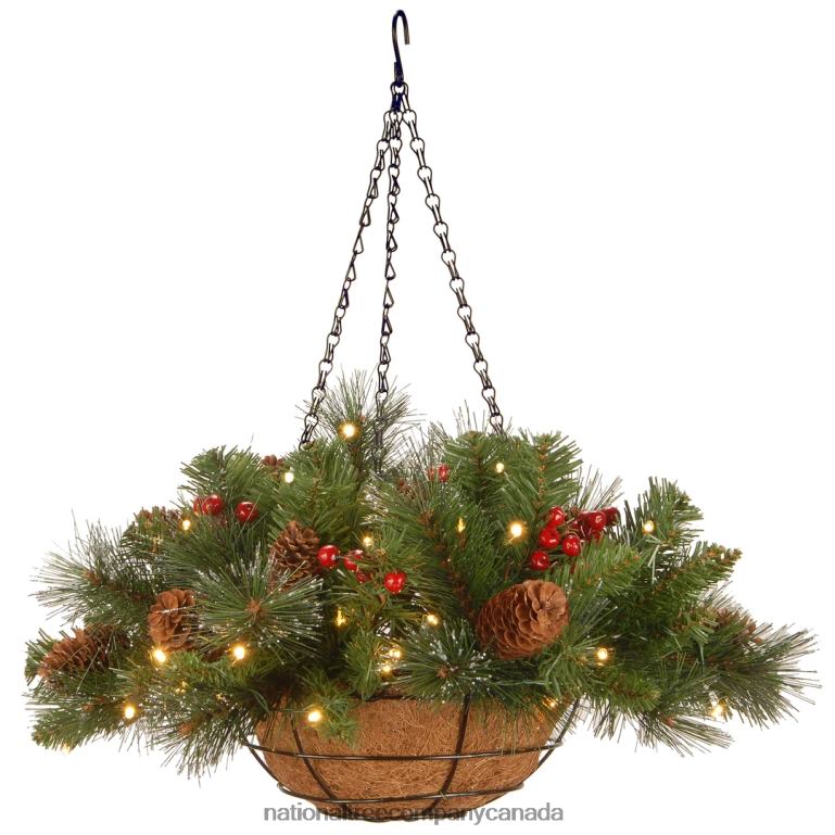 National Tree Company Pre-Lit Artificial Hanging Basket Crestwood Spruce with Battery Powered Operated LED Lights with Warm White LED Lights Battery Powered Christmas Collection 16 in 68R08436