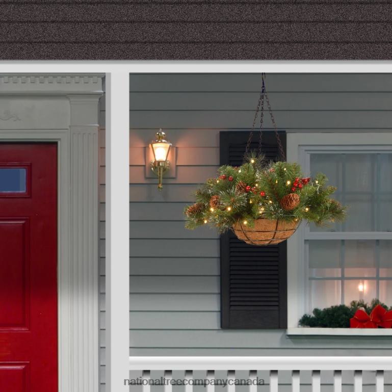 National Tree Company Pre-Lit Artificial Hanging Basket Crestwood Spruce with Battery Powered Operated LED Lights with Warm White LED Lights Battery Powered Christmas Collection 16 in 68R08436