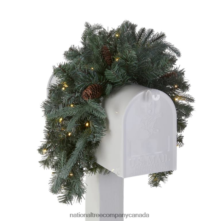 National Tree Company Pre-Lit Artificial Mailbox Swag Decoration Green Arctic Spruce LED Lights Decorated with Pine Cones Christmas Collection 3 Feet 68R08446