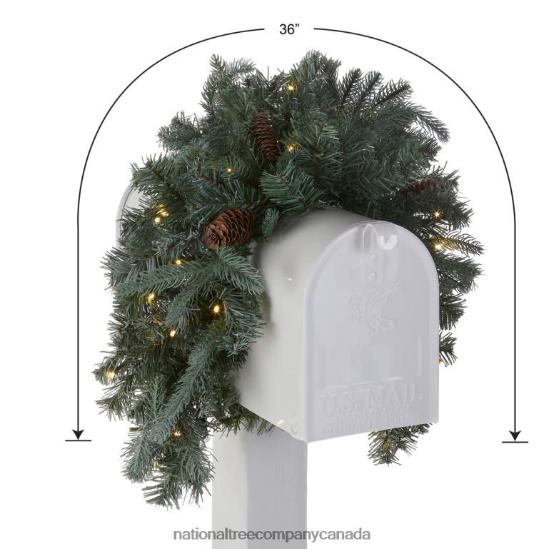 National Tree Company Pre-Lit Artificial Mailbox Swag Decoration Green Arctic Spruce LED Lights Decorated with Pine Cones Christmas Collection 3 Feet 68R08446