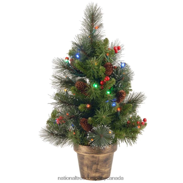 National Tree Company Pre-Lit Artificial Mini Christmas Tree Green Crestwood Spruce Multicolor Lights Decorated with Pine Cones Berry Clusters Frosted Branches Includes Pot Base 2 Feet 68R0813