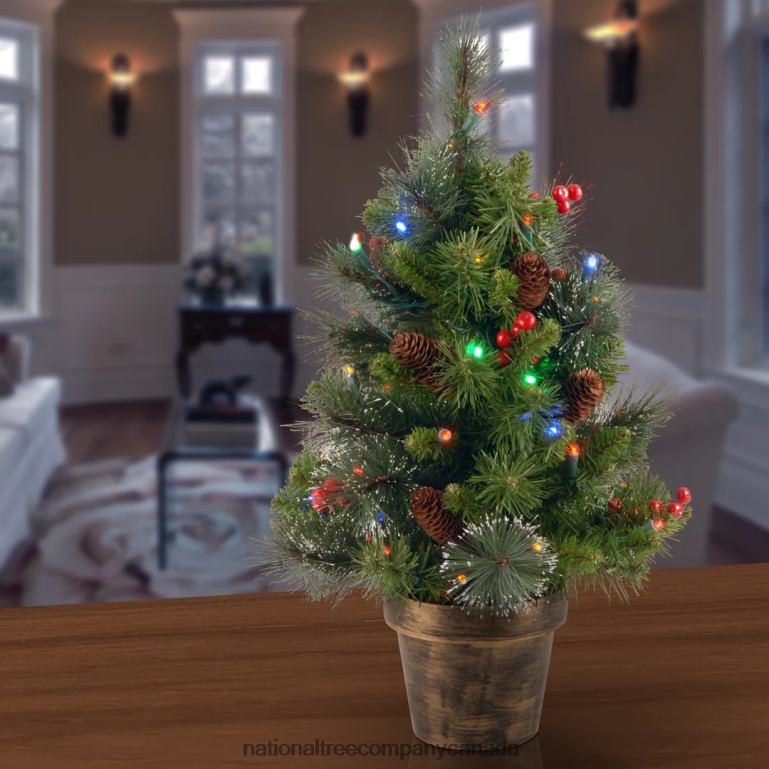 National Tree Company Pre-Lit Artificial Mini Christmas Tree Green Crestwood Spruce Multicolor Lights Decorated with Pine Cones Berry Clusters Frosted Branches Includes Pot Base 2 Feet 68R0813
