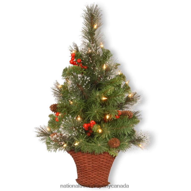 National Tree Company Pre-Lit Artificial Mini Christmas Tree Green Crestwood Spruce White Lights Decorated with Pine Cones Berry Clusters Frosted Branches Includes Wicker Base 3 Feet 68R08159