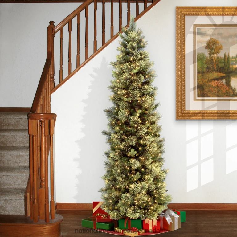 National Tree Company Pre-Lit Artificial Slim Christmas Tree Green Carolina Pine White Lights Includes Stand 75 feet 68R0836